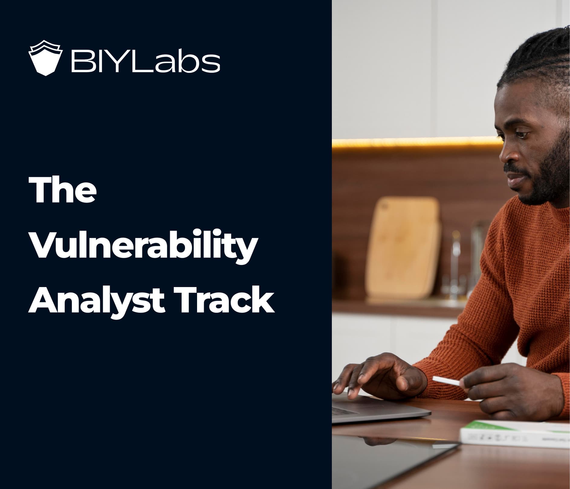 Vulnerability Analyst