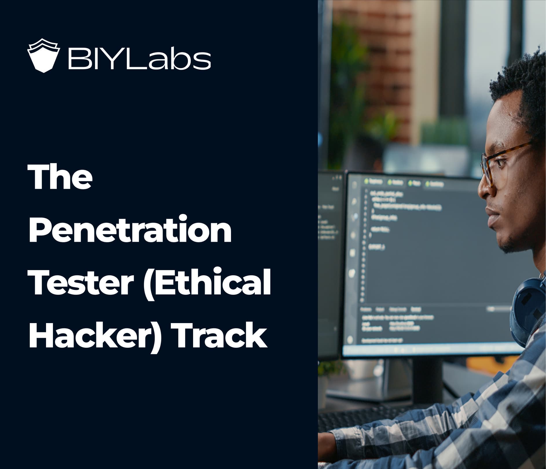 Penetration Tester (Ethical Hacker)